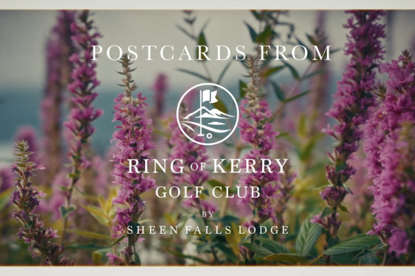 Postcards from Ring of Kerry 01 16-9 V3
